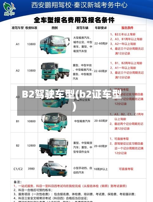 B2驾驶车型(b2证车型)