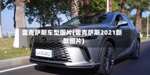 雷克萨斯车型图片(雷克萨斯2021新款图片)