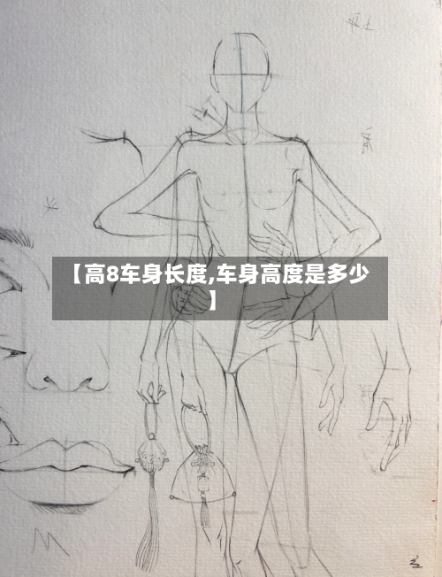 【高8车身长度,车身高度是多少】-第2张图片