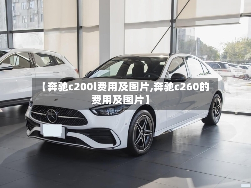 【奔驰c200l费用及图片,奔驰c260的费用及图片】