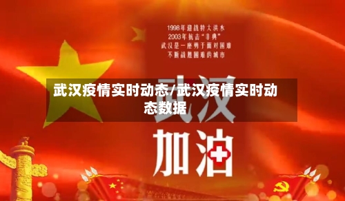 武汉疫情实时动态/武汉疫情实时动态数据-第3张图片