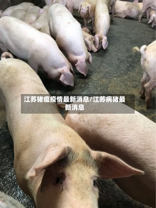 江苏猪瘟疫情最新消息/江苏病猪最新消息