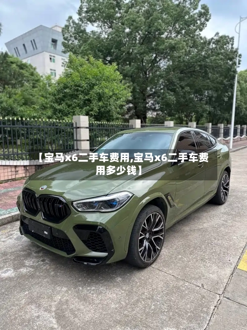 【宝马x6二手车费用,宝马x6二手车费用多少钱】-第2张图片