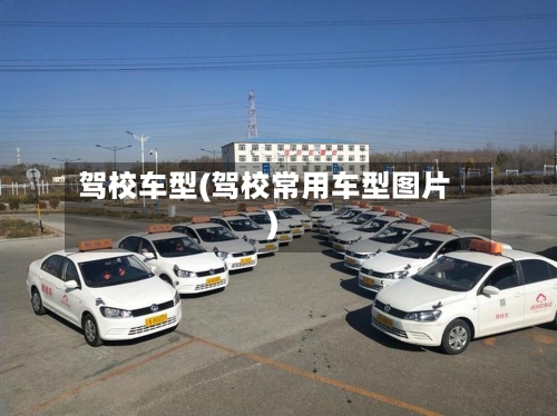 驾校车型(驾校常用车型图片)-第2张图片
