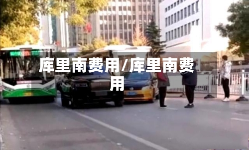 库里南费用/库里南费用