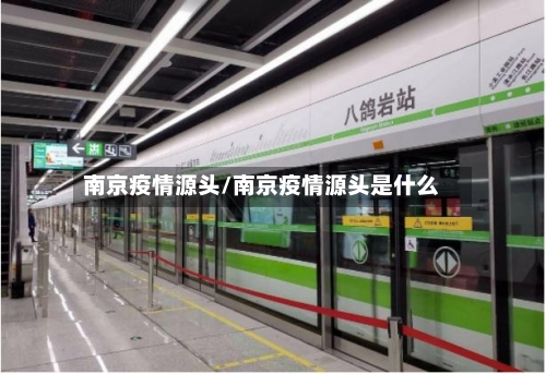 南京疫情源头/南京疫情源头是什么-第2张图片
