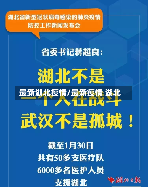 最新湖北疫情/最新疫情 湖北-第2张图片