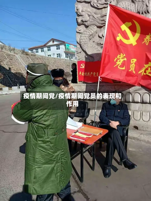 疫情期间党/疫情期间党员的表现和作用