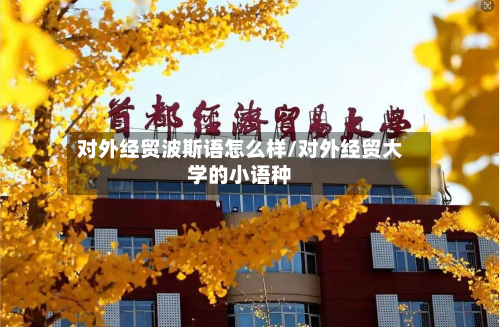 对外经贸波斯语怎么样/对外经贸大学的小语种-第2张图片