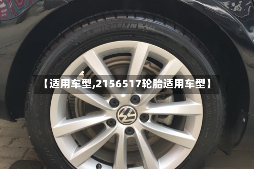 【适用车型,2156517轮胎适用车型】