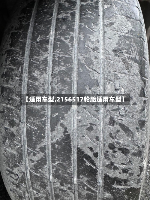 【适用车型,2156517轮胎适用车型】-第3张图片