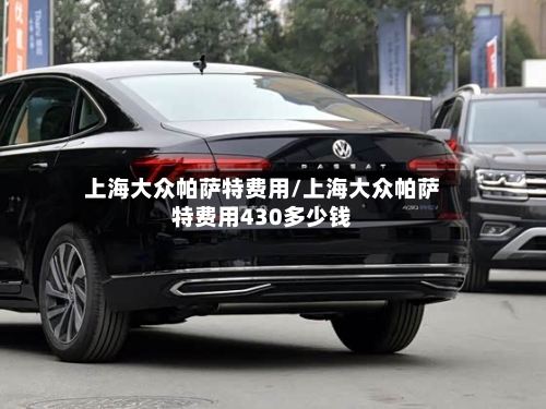 上海大众帕萨特费用/上海大众帕萨特费用430多少钱