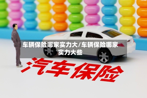 车辆保险哪家实力大/车辆保险哪家实力大些
