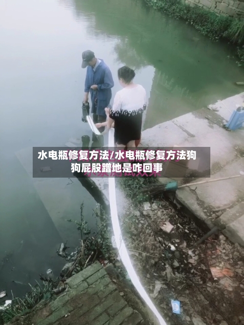 水电瓶修复方法/水电瓶修复方法狗狗屁股蹭地是咋回事