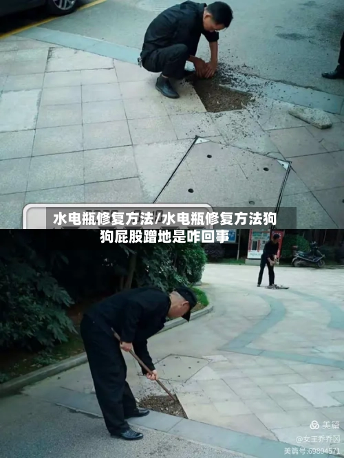 水电瓶修复方法/水电瓶修复方法狗狗屁股蹭地是咋回事-第2张图片