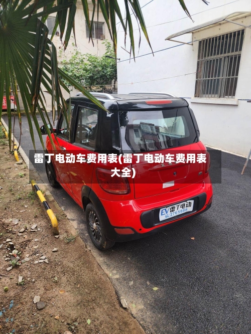 雷丁电动车费用表(雷丁电动车费用表大全)